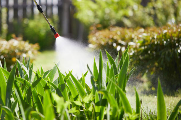 Tamper-Resistant Bait Stations for Rodents in St. Joseph