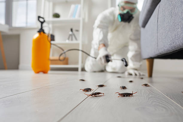 Commercial Rodent Management in St. Joseph